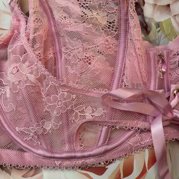 Honey Birdette Bra Sexy Pink Lace Corset Luxury Babydoll Lingerie Detail 40DD - Picture 5 of 11